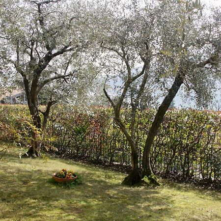 Sarnico Giardino Sul Lago Exterior photo